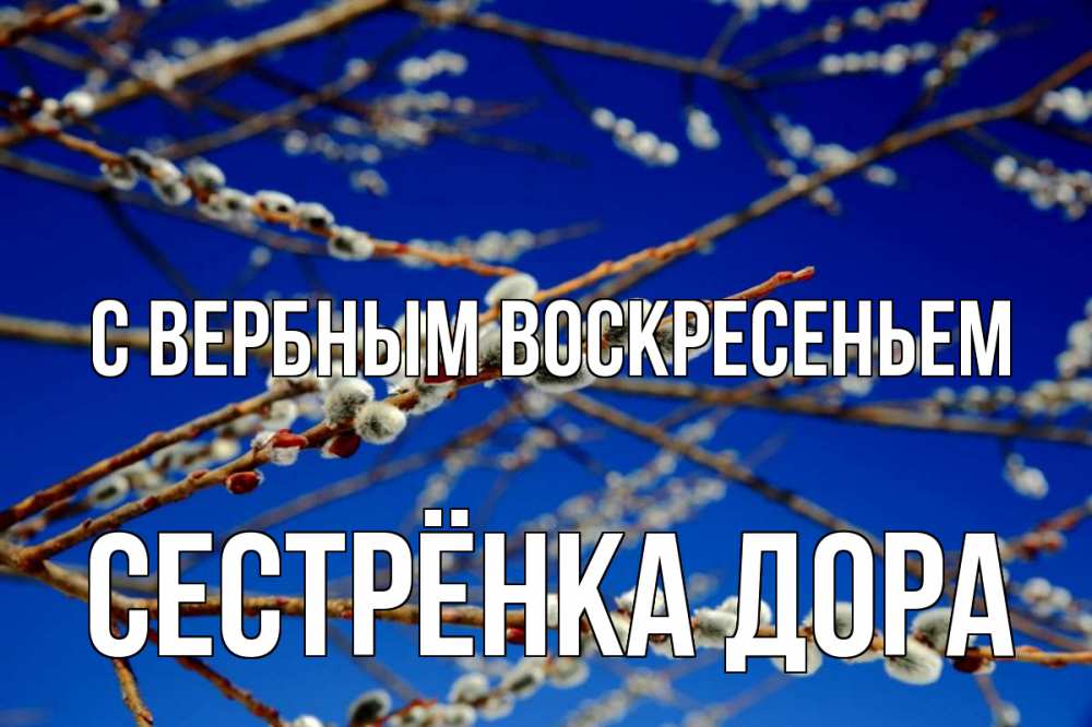 Открытка на каждый день с именем, Сестрёнка-Дора С вербным воскресеньем верба Прикольная открытка с пожеланием онлайн скачать бесплатно 