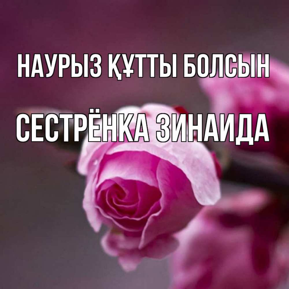 Открытка на каждый день с именем, Сестрёнка-Зинаида Наурыз құтты болсын весна Прикольная открытка с пожеланием онлайн скачать бесплатно 
