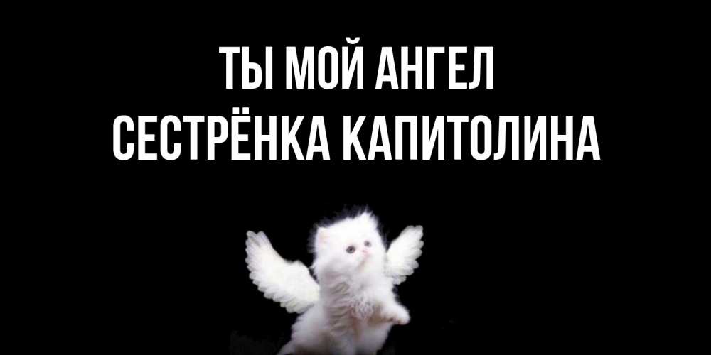 Открытка на каждый день с именем, Сестрёнка-Капитолина Ты мой ангел Кот ангел Прикольная открытка с пожеланием онлайн скачать бесплатно 