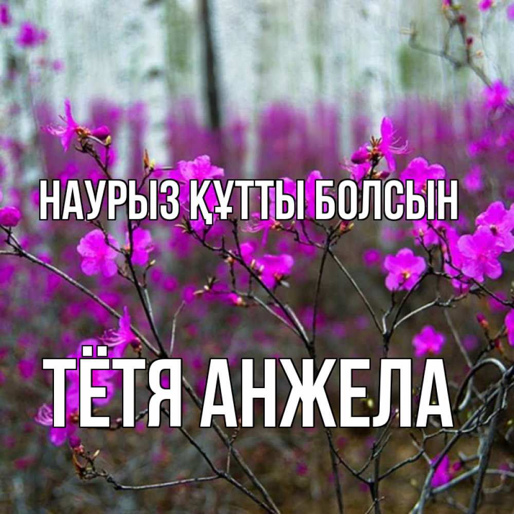 Открытка на каждый день с именем, Тётя-Анжела Наурыз құтты болсын дикие цветы Прикольная открытка с пожеланием онлайн скачать бесплатно 