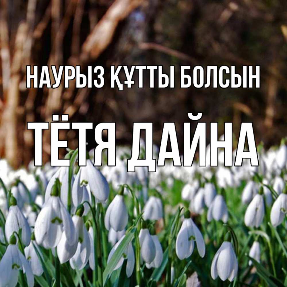 Открытка на каждый день с именем, Тётя-Дайна Наурыз құтты болсын с подснежниками 1 Прикольная открытка с пожеланием онлайн скачать бесплатно 