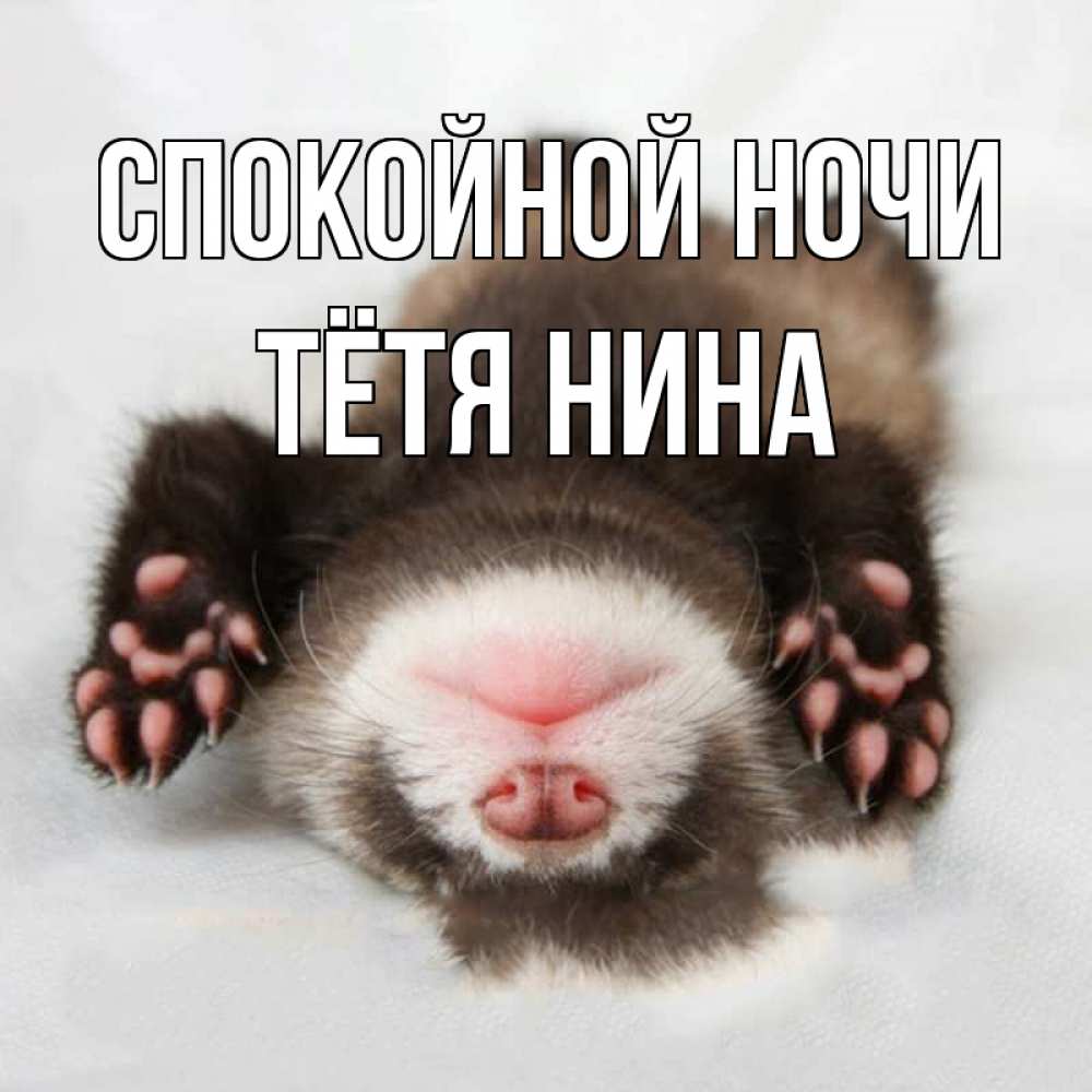 Открытка на каждый день с именем, Тётя-Нина Спокойной ночи зверек Прикольная открытка с пожеланием онлайн скачать бесплатно 
