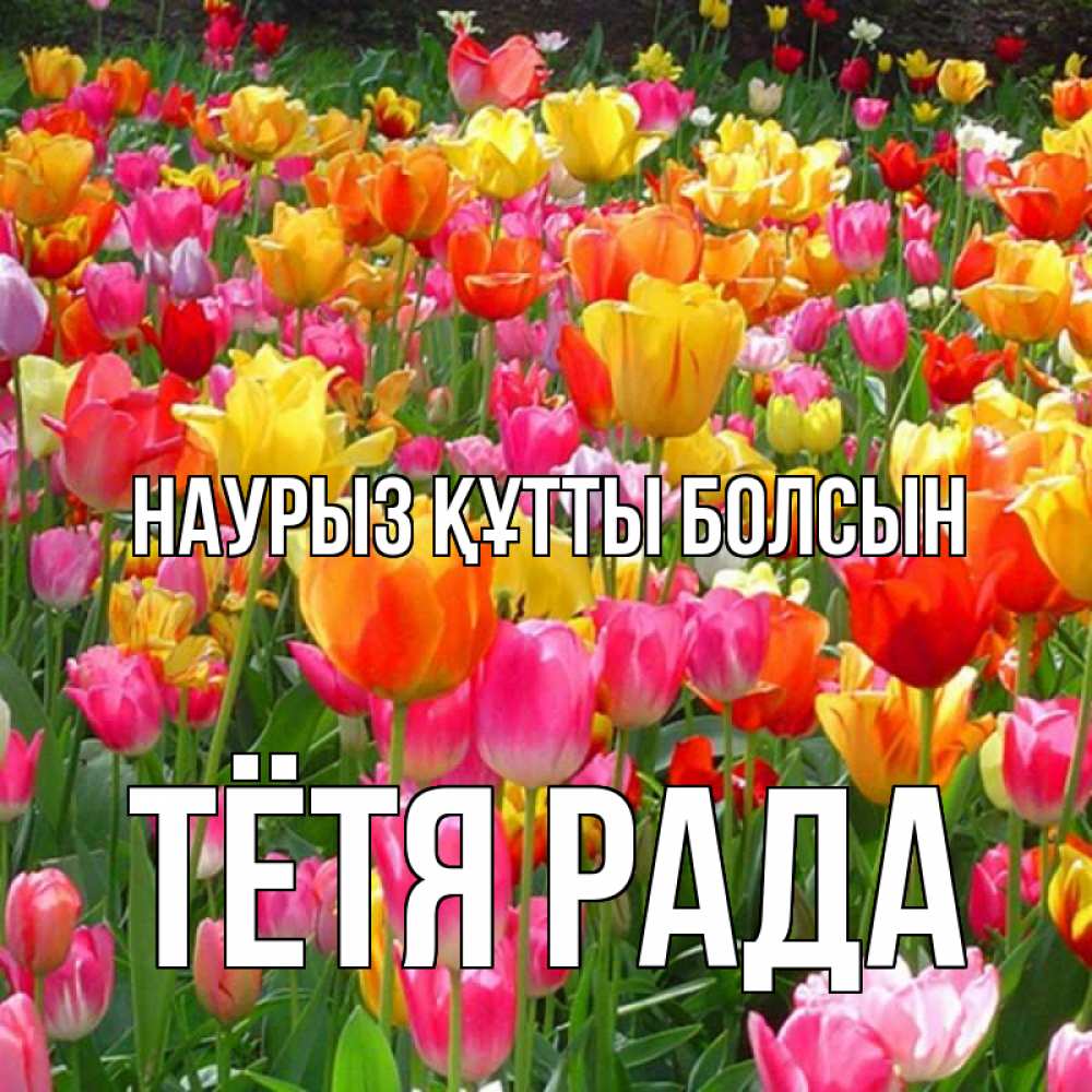 Открытка на каждый день с именем, Тётя-Рада Наурыз құтты болсын на наурыз  ура ура Прикольная открытка с пожеланием онлайн скачать бесплатно 