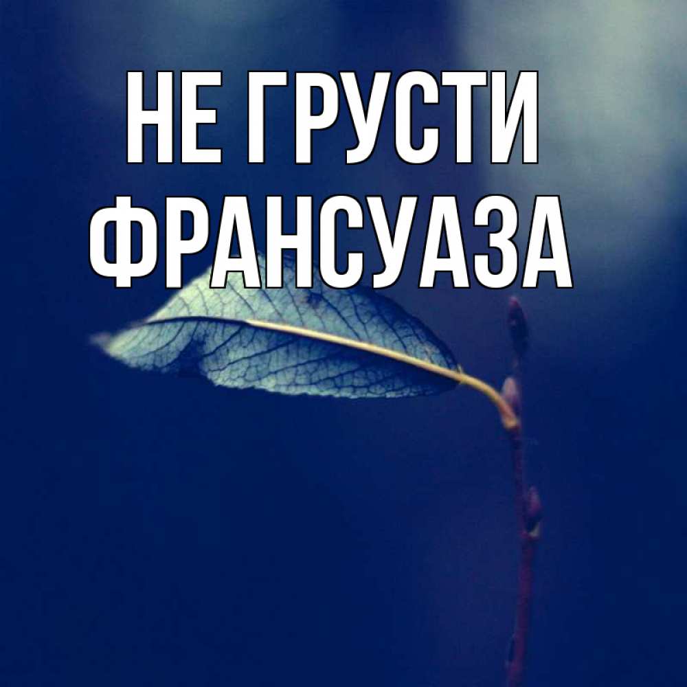 Открытка на каждый день с именем, Франсуаза Не грусти растение Прикольная открытка с пожеланием онлайн скачать бесплатно 