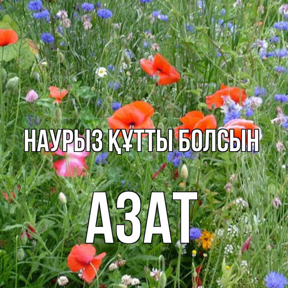 Открытка на каждый день с именем, Азат Наурыз құтты болсын наурыз  4 Прикольная открытка с пожеланием онлайн скачать бесплатно 