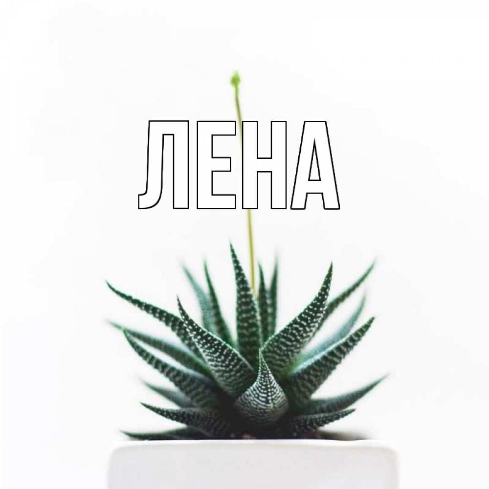 Открытка на каждый день с именем, Лена Главная короче это непонятная колючка Прикольная открытка с пожеланием онлайн скачать бесплатно 