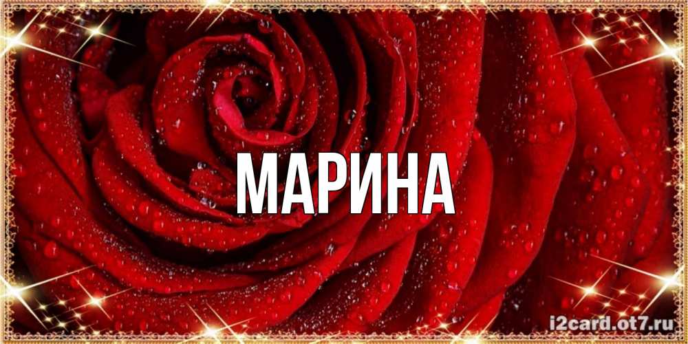 Открытка на каждый день с именем, Марина Главная роса на розе блестящая в лучах солнца Прикольная открытка с пожеланием онлайн скачать бесплатно 