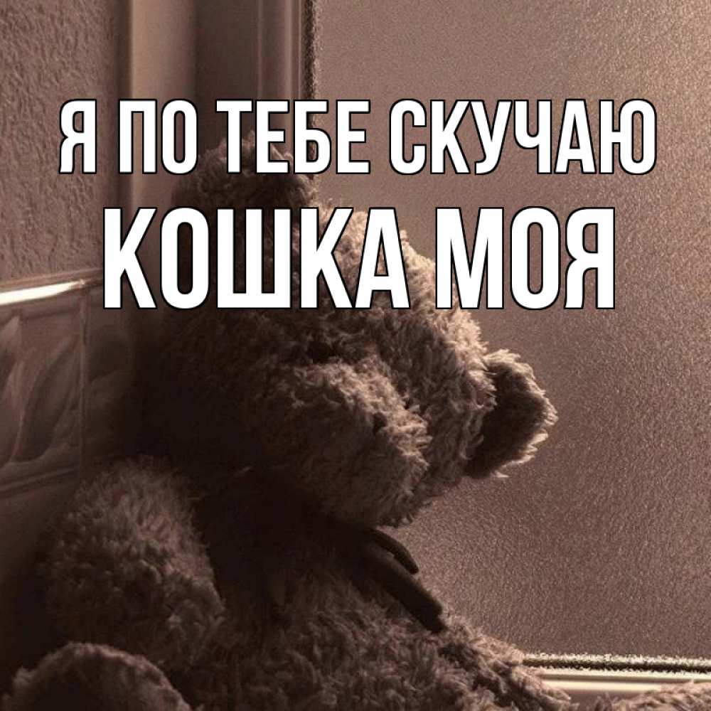 Картинки, картинки я тебя буду ждать солнышко