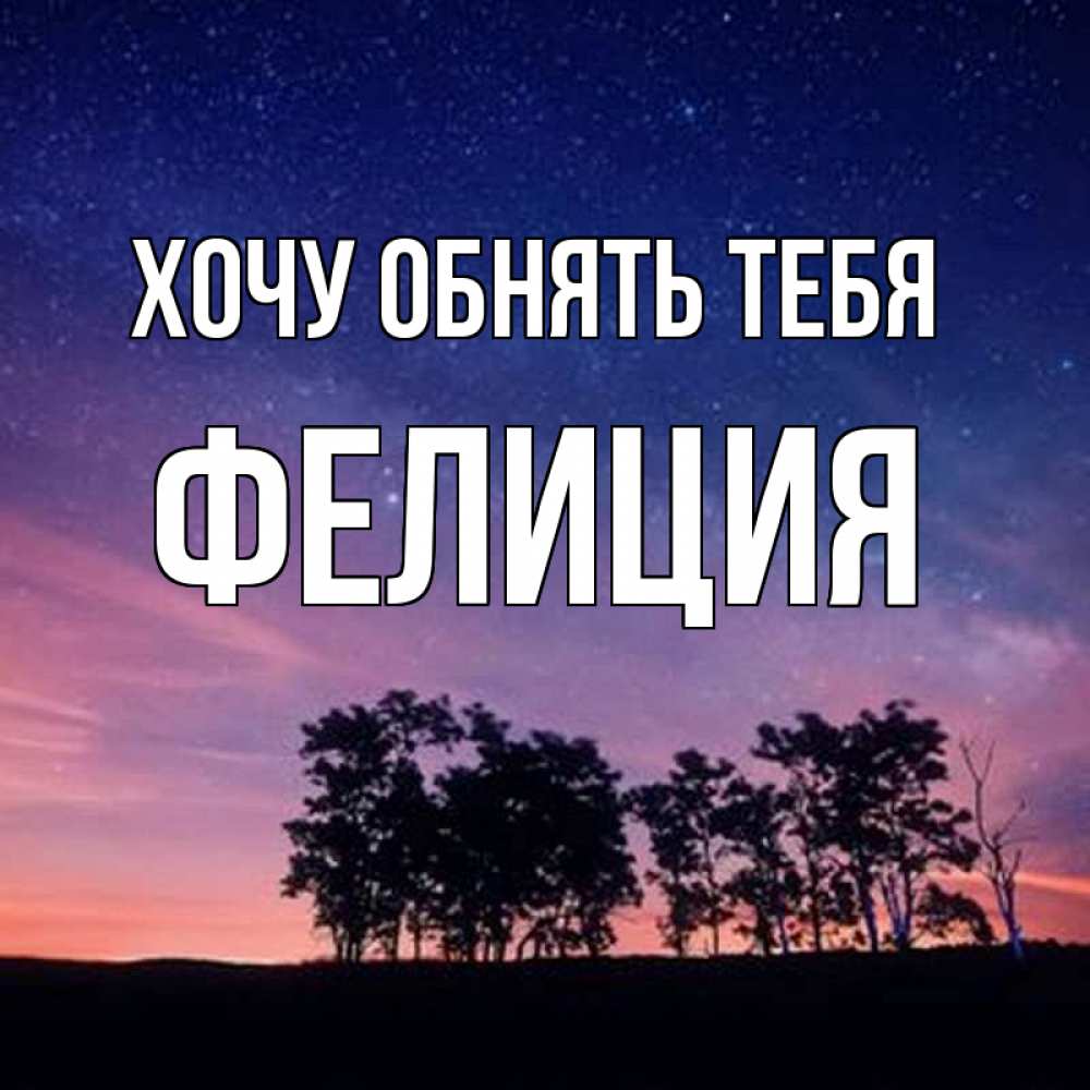 Открытка на каждый день с именем, Фелиция Хочу обнять тебя силуэты деревьев Прикольная открытка с пожеланием онлайн скачать бесплатно 