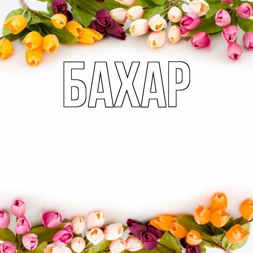 Открытка на каждый день с именем, Бахар Главная весна март Прикольная открытка с пожеланием онлайн скачать бесплатно 