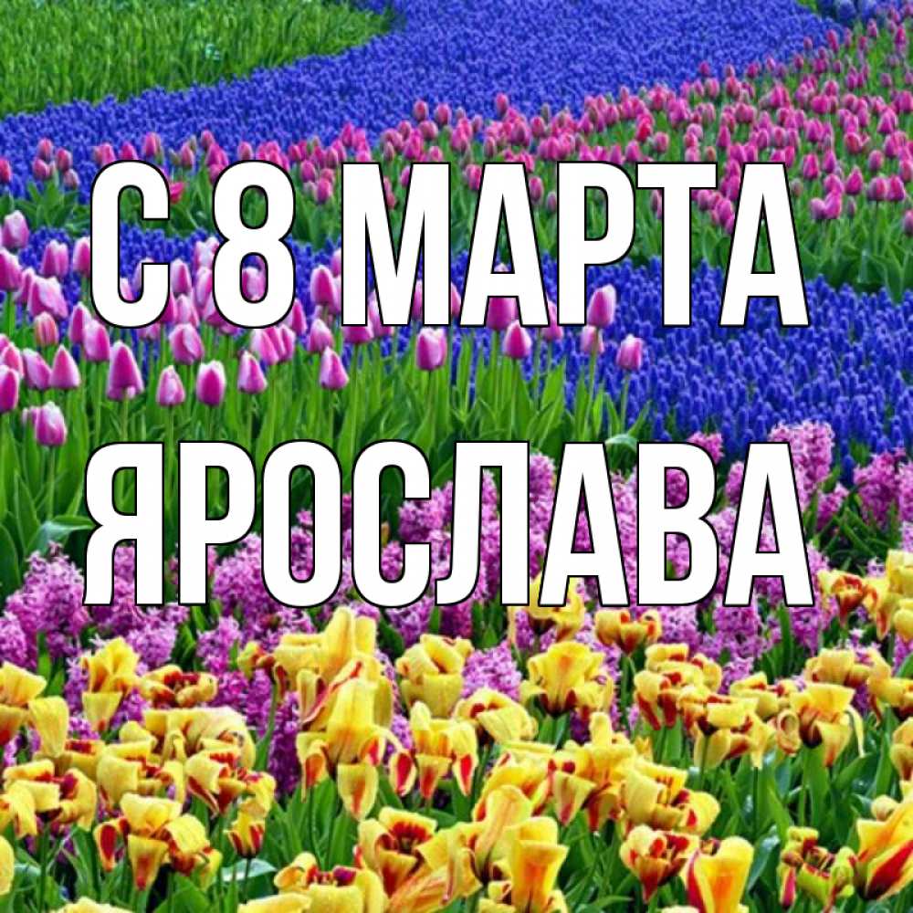 Картинка С 8 МАРТА, Ярослава