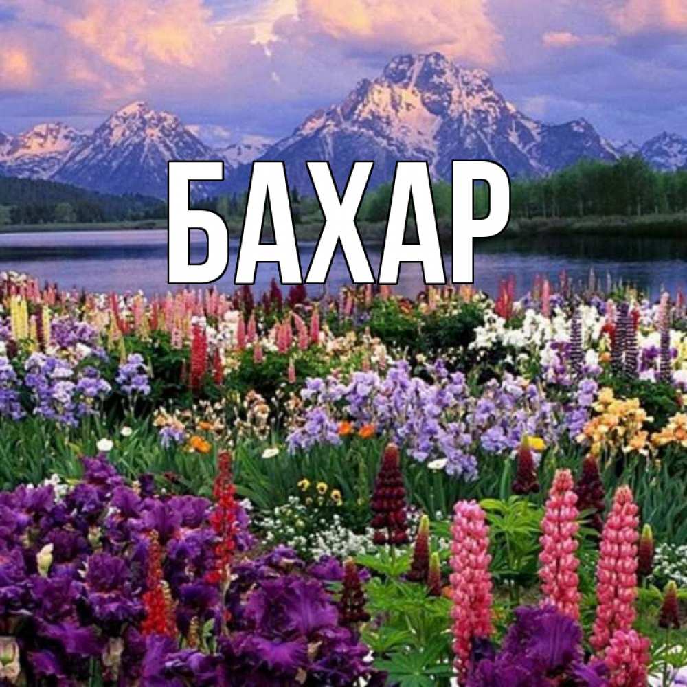Открытка на каждый день с именем, Бахар Главная праздник весны наурыз Прикольная открытка с пожеланием онлайн скачать бесплатно 