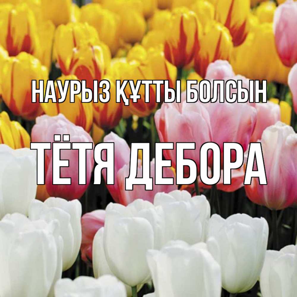Открытка на каждый день с именем, Тётя-Дебора Наурыз құтты болсын разноцветные цветы Прикольная открытка с пожеланием онлайн скачать бесплатно 