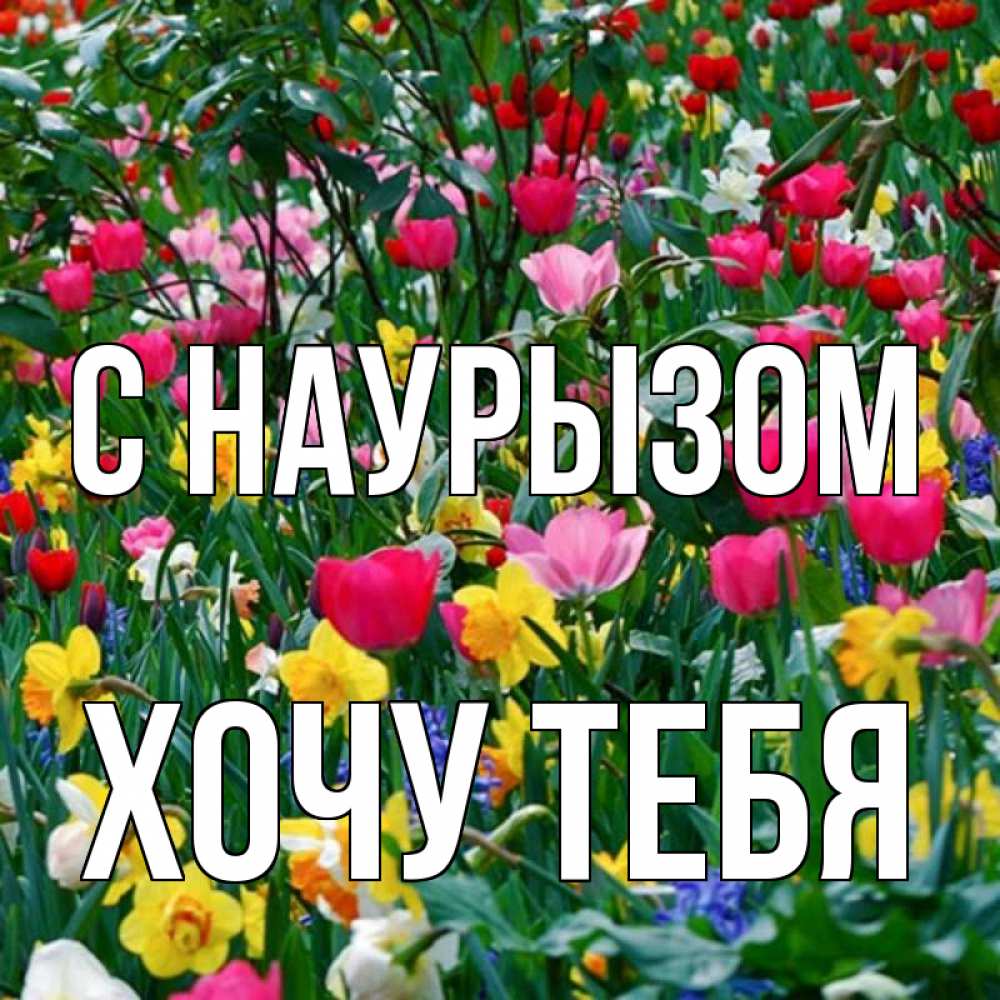 Картинка С наурызом, Хочу тебя