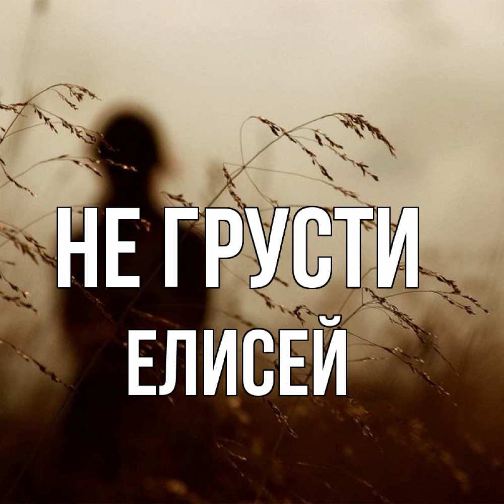 Открытка на каждый день с именем, Елисей Не грусти грусть Прикольная открытка с пожеланием онлайн скачать бесплатно 