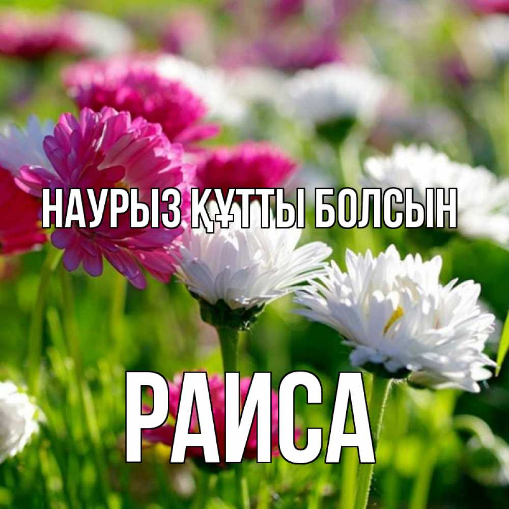 Открытка на каждый день с именем, Раиса Наурыз құтты болсын наурыз Прикольная открытка с пожеланием онлайн скачать бесплатно 