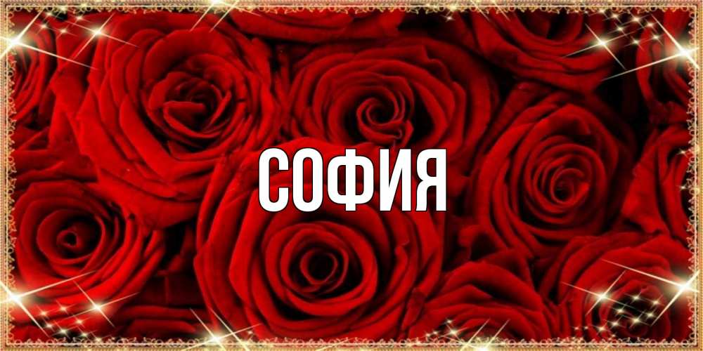 Открытка на каждый день с именем, София Главная открытка для любимой Прикольная открытка с пожеланием онлайн скачать бесплатно 