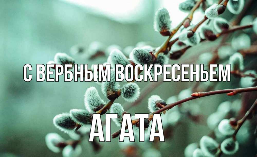 Открытка на каждый день с именем, Агата С вербным воскресеньем верба Прикольная открытка с пожеланием онлайн скачать бесплатно 