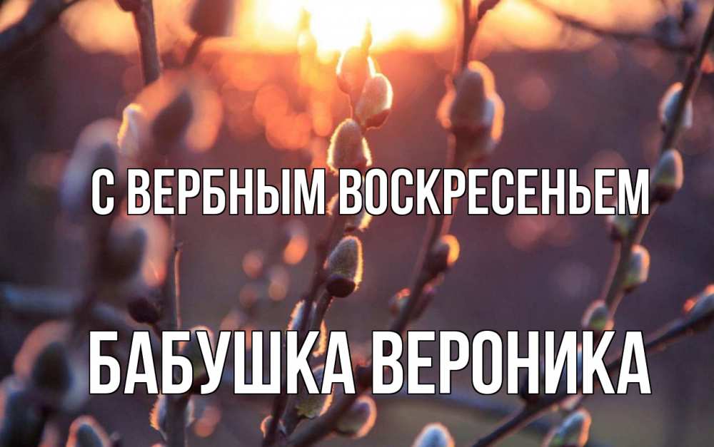 Открытка на каждый день с именем, Бабушка-Вероника С вербным воскресеньем верба Прикольная открытка с пожеланием онлайн скачать бесплатно 
