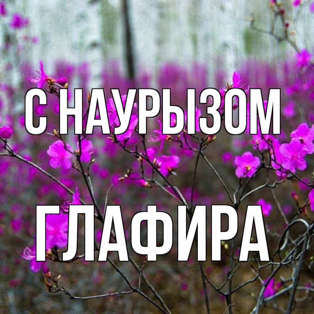 Открытка на каждый день с именем, Глафира С наурызом дикие цветы Прикольная открытка с пожеланием онлайн скачать бесплатно 
