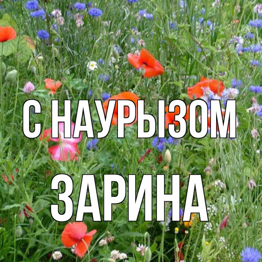 Открытка на каждый день с именем, Зарина С наурызом праздник весны наурыз супер открытка Прикольная открытка с пожеланием онлайн скачать бесплатно 