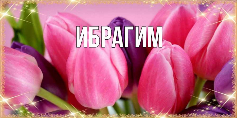 Открытка на каждый день с именем, Ибрагим Главная тюльпаны для женщины на международный женский день Прикольная открытка с пожеланием онлайн скачать бесплатно 