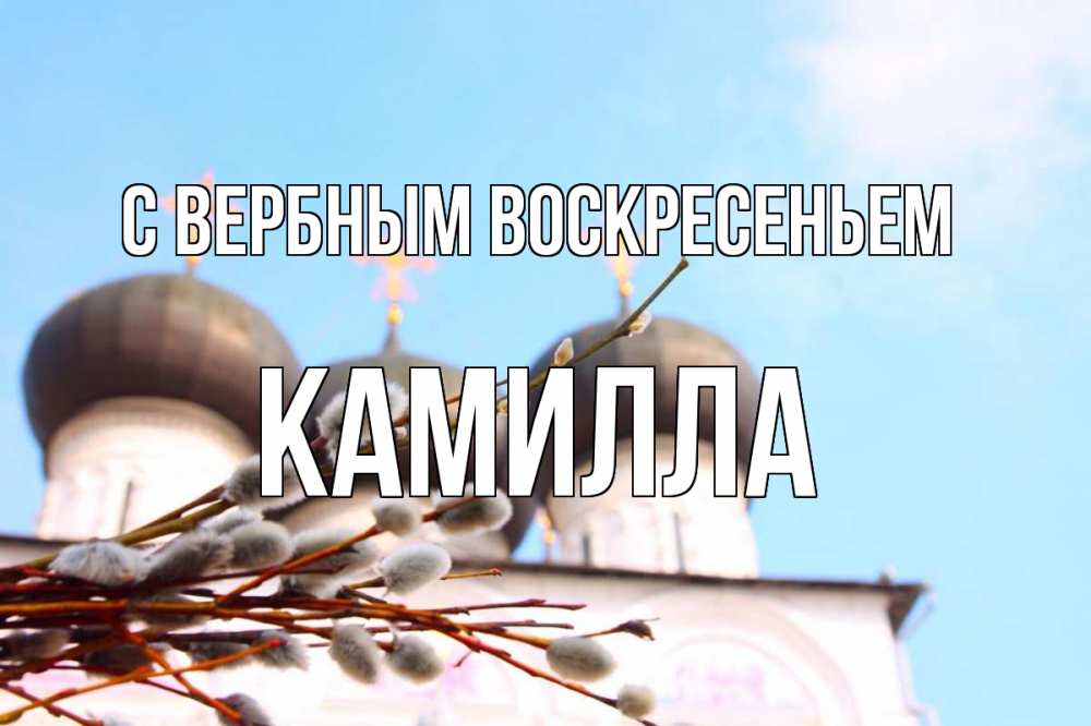 Открытка на каждый день с именем, Камилла С вербным воскресеньем верба Прикольная открытка с пожеланием онлайн скачать бесплатно 