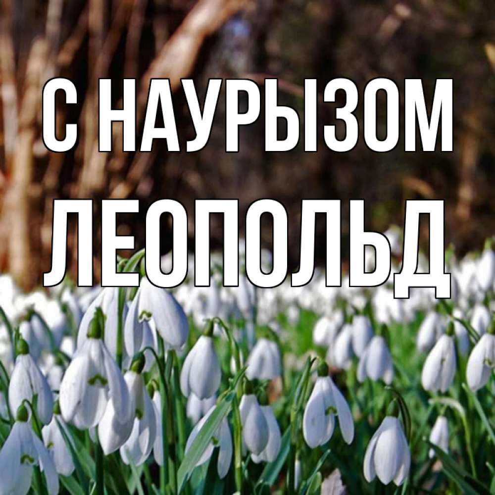 Открытка на каждый день с именем, Леопольд С наурызом с подснежниками 1 Прикольная открытка с пожеланием онлайн скачать бесплатно 