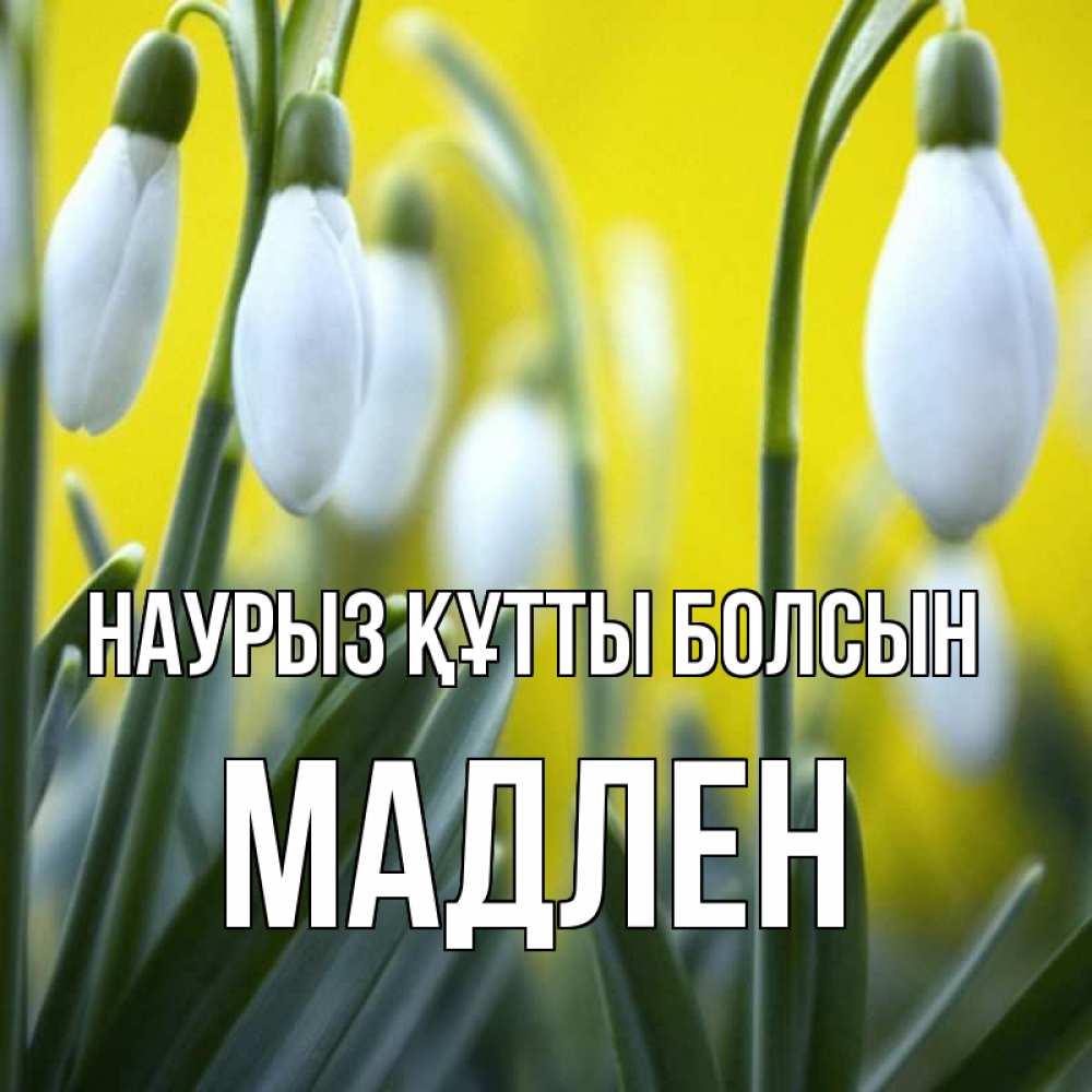 Открытка на каждый день с именем, Мадлен Наурыз құтты болсын весенние цветы Прикольная открытка с пожеланием онлайн скачать бесплатно 