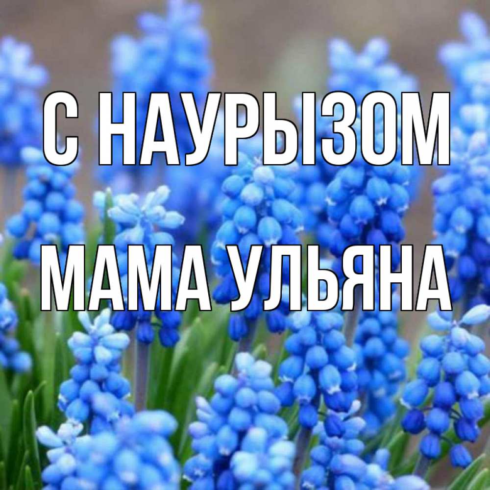 Открытка на каждый день с именем, Мама-Ульяна С наурызом Поздравительная открытка для женщин с цветами на праздничную дату Прикольная открытка с пожеланием онлайн скачать бесплатно 
