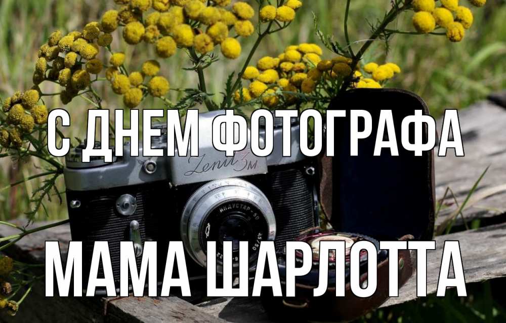 Открытка на каждый день с именем, Мама-Шарлотта С днем фотографа с днем фотографа Прикольная открытка с пожеланием онлайн скачать бесплатно 
