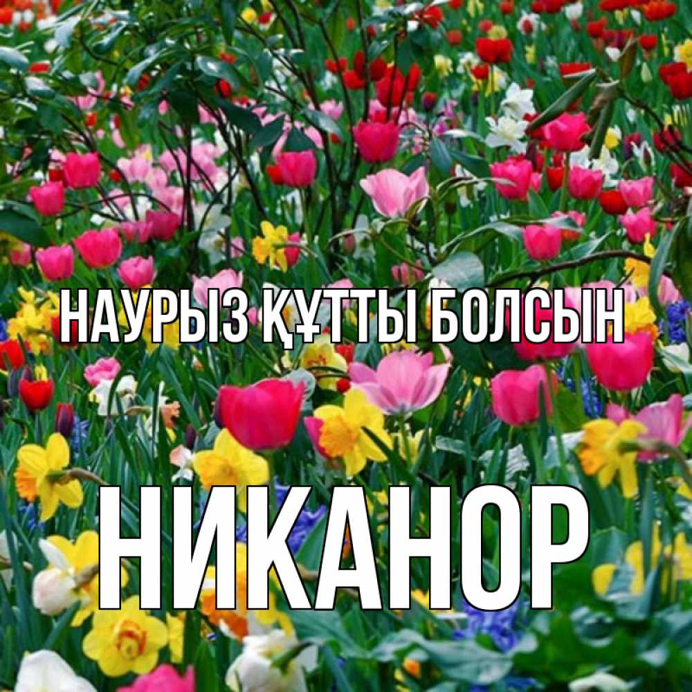 Открытка на каждый день с именем, Никанор Наурыз құтты болсын с наурызом поздравления для женщины Прикольная открытка с пожеланием онлайн скачать бесплатно 