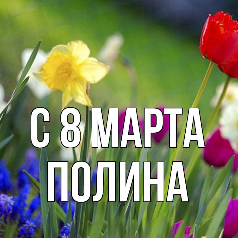 Открытка на каждый день с именем, Полина С 8 марта международный женский день 3 Прикольная открытка с пожеланием онлайн скачать бесплатно 