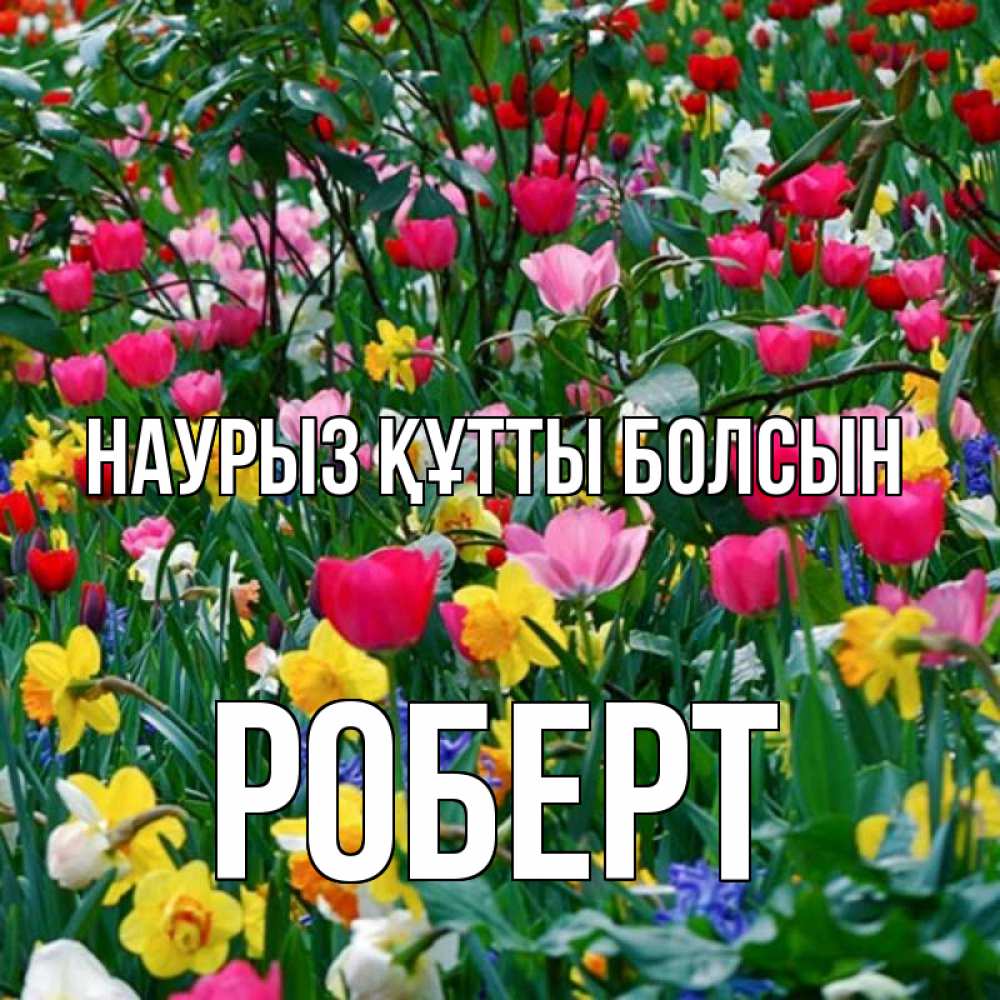 Открытка на каждый день с именем, Роберт Наурыз құтты болсын с наурызом поздравления для женщины Прикольная открытка с пожеланием онлайн скачать бесплатно 