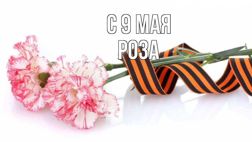 Открытка на каждый день с именем, Роза С 9 мая 9 мая Прикольная открытка с пожеланием онлайн скачать бесплатно 