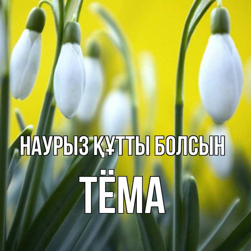 Открытка на каждый день с именем, Тёма Наурыз құтты болсын весенние цветы Прикольная открытка с пожеланием онлайн скачать бесплатно 