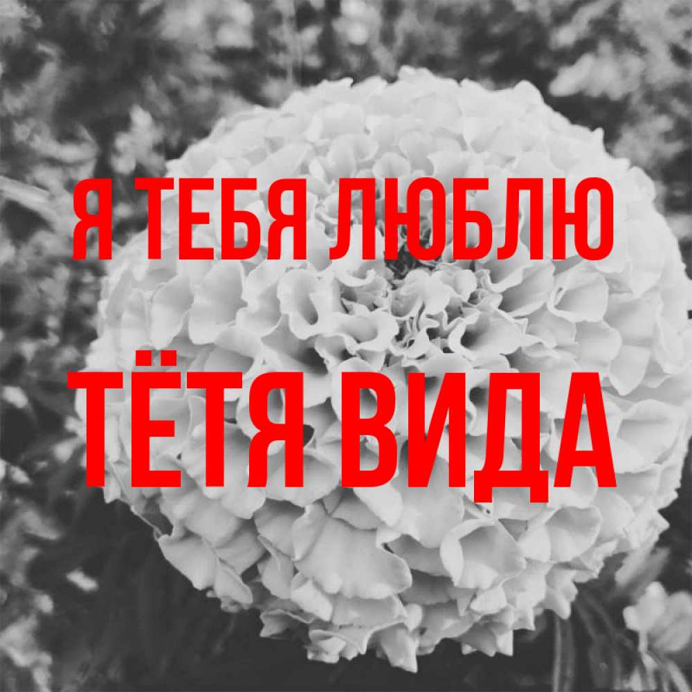 Открытка на каждый день с именем, Тётя-Вида Я тебя люблю подпись Прикольная открытка с пожеланием онлайн скачать бесплатно 