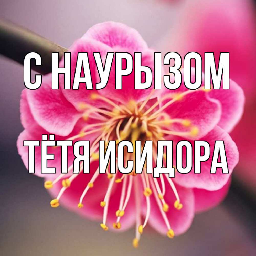Открытка на каждый день с именем, Тётя-Исидора С наурызом цветы Прикольная открытка с пожеланием онлайн скачать бесплатно 