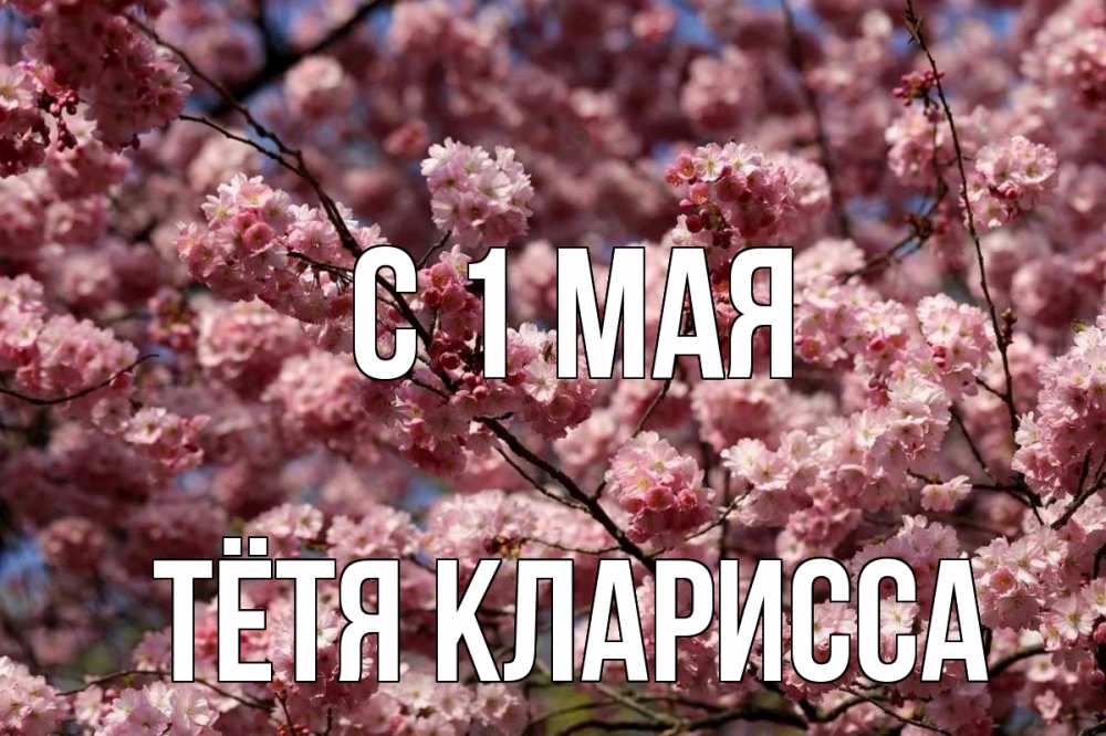 Открытка на каждый день с именем, Тётя-Кларисса С 1 мая С 1 мая Прикольная открытка с пожеланием онлайн скачать бесплатно 