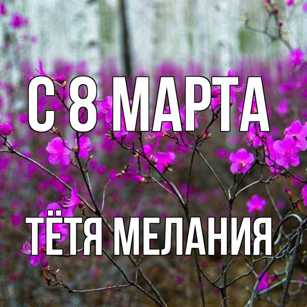 Открытка на каждый день с именем, Тётя-Мелания С 8 МАРТА дикие цветы Прикольная открытка с пожеланием онлайн скачать бесплатно 