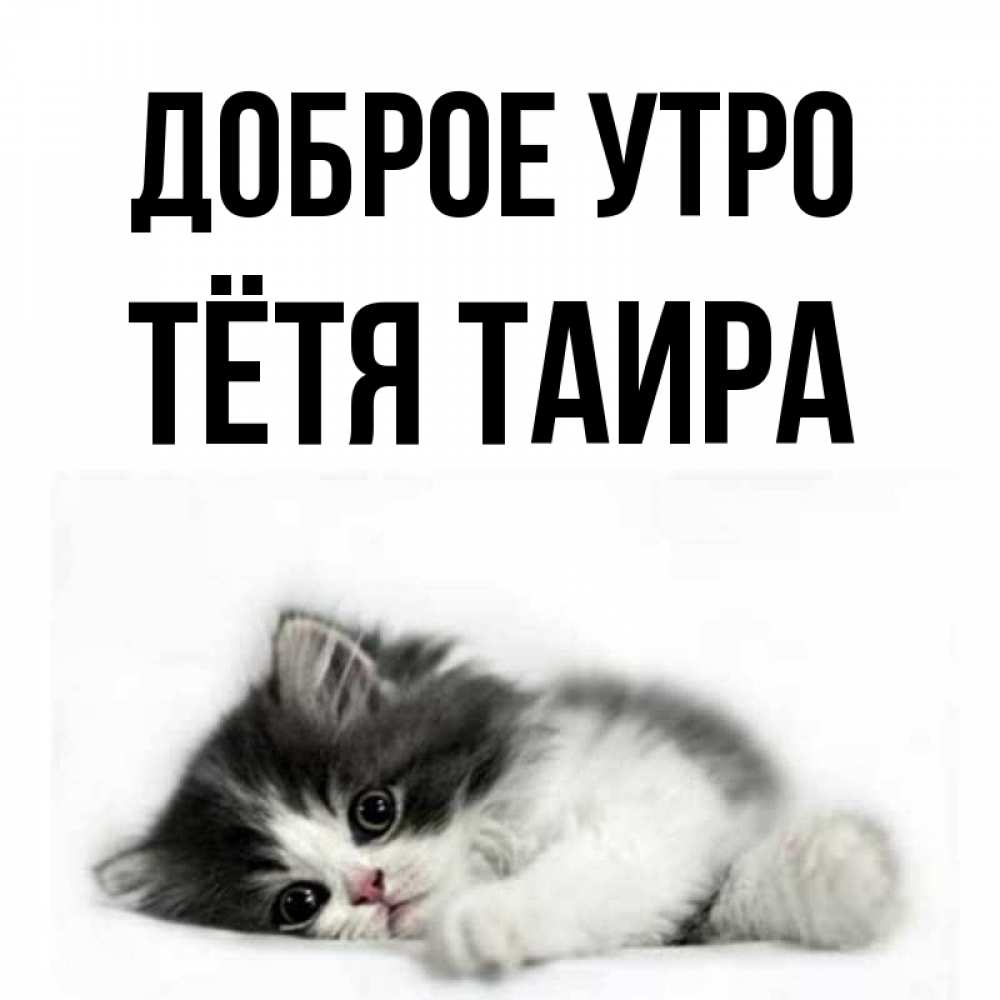 Открытка на каждый день с именем, Тётя-Таира Доброе утро кот лапки Прикольная открытка с пожеланием онлайн скачать бесплатно 