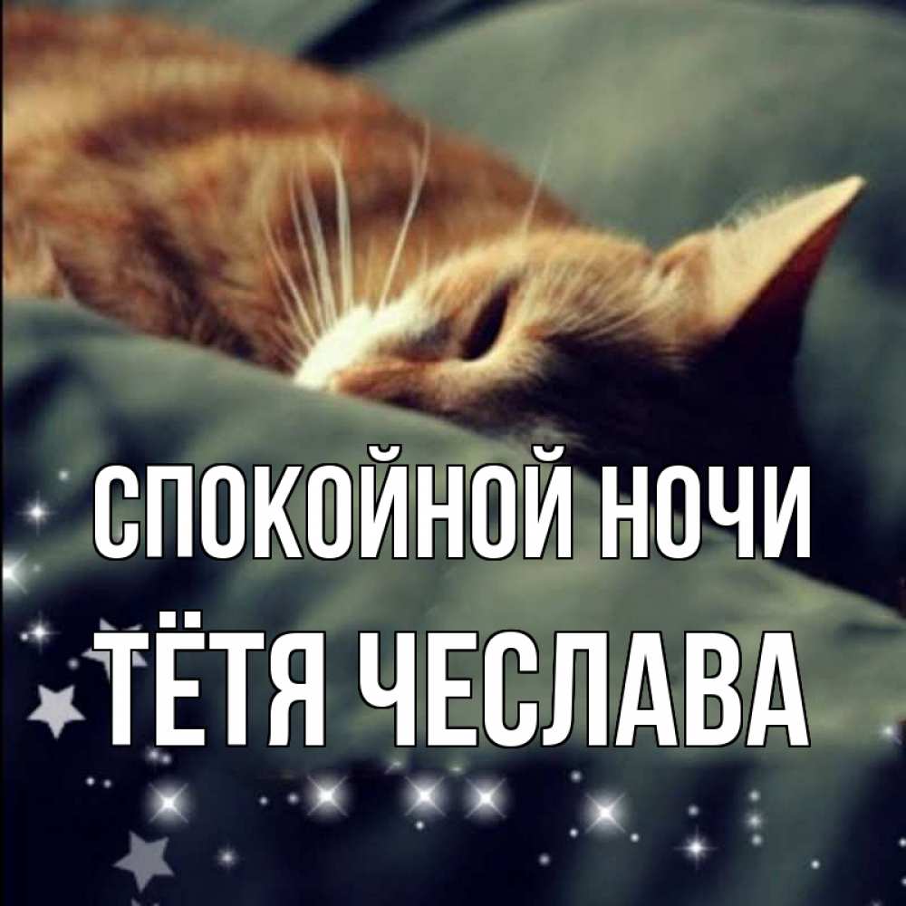 Открытка на каждый день с именем, Тётя-Чеслава Спокойной ночи кроватка Прикольная открытка с пожеланием онлайн скачать бесплатно 