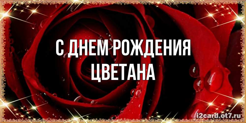 Открытка на каждый день с именем, Цветана С днем рождения цветок в росе на день рождения Прикольная открытка с пожеланием онлайн скачать бесплатно 
