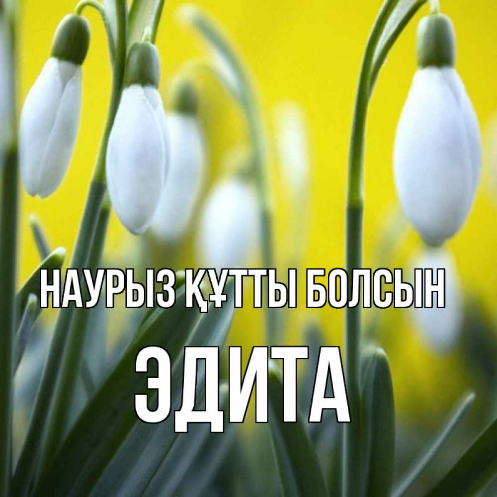 Открытка на каждый день с именем, Эдита Наурыз құтты болсын весенние цветы Прикольная открытка с пожеланием онлайн скачать бесплатно 