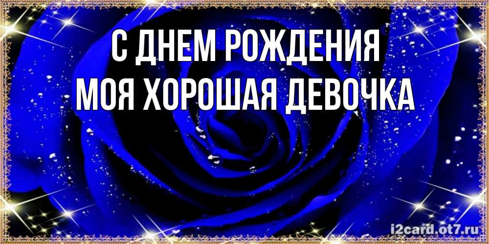 Открытка на каждый день с именем, моя-хорошая-девочка С днем рождения голубые цветы в росе Прикольная открытка с пожеланием онлайн скачать бесплатно 