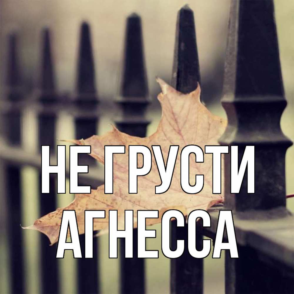Открытка на каждый день с именем, Агнесса Не грусти лист клена Прикольная открытка с пожеланием онлайн скачать бесплатно 