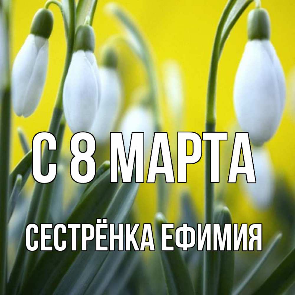 Открытка на каждый день с именем, Сестрёнка-Ефимия С 8 МАРТА весенние цветы Прикольная открытка с пожеланием онлайн скачать бесплатно 