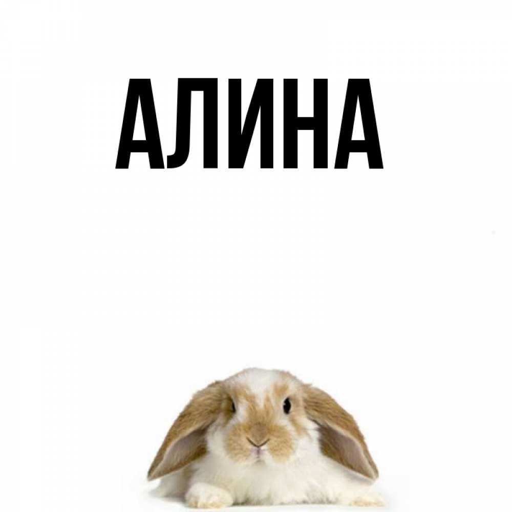 Приколы с именем алина в картинках, открытка