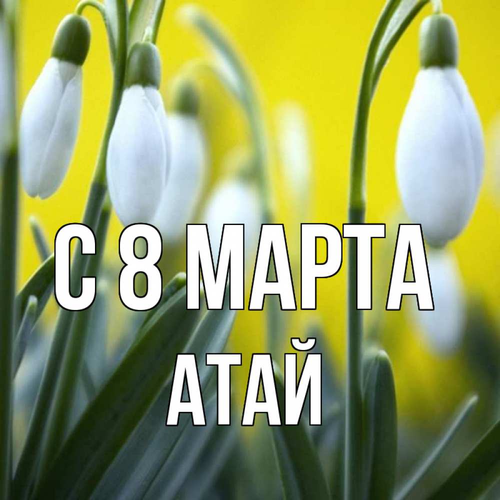 Картинка С 8 МАРТА, Атай
