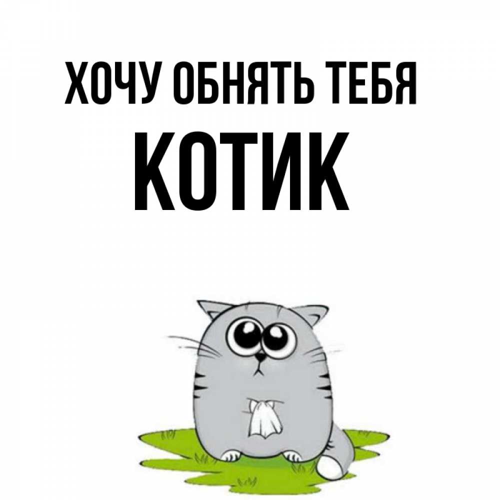 Я котик ты котик